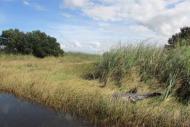 Everglades National Park