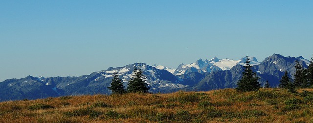 Olympic National Park