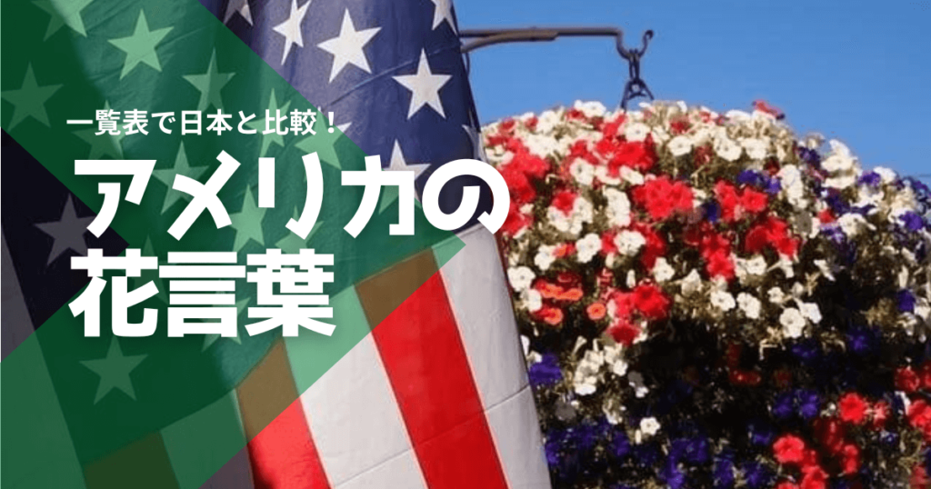 アメリカの花言葉