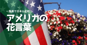 アメリカの花言葉