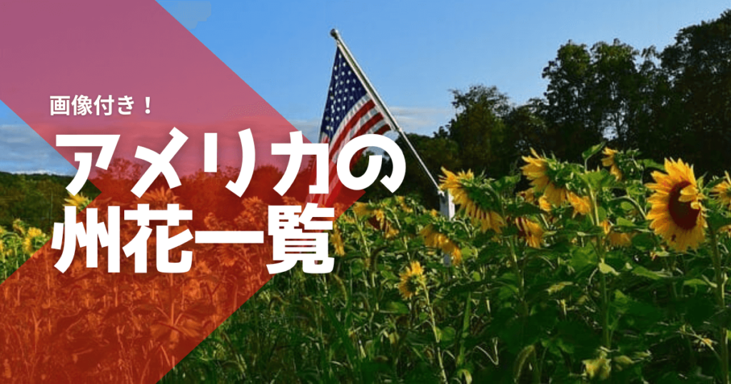 アメリカの州花一覧