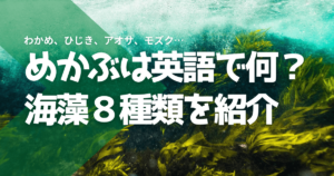 めかぶは英語で何？